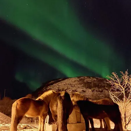 Storjord Ranchhouse *