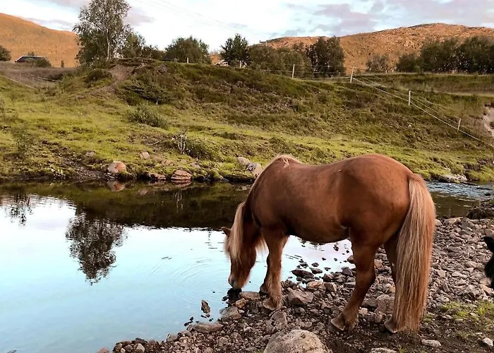 Storjord Ranchhouse Farmház Kvaloya