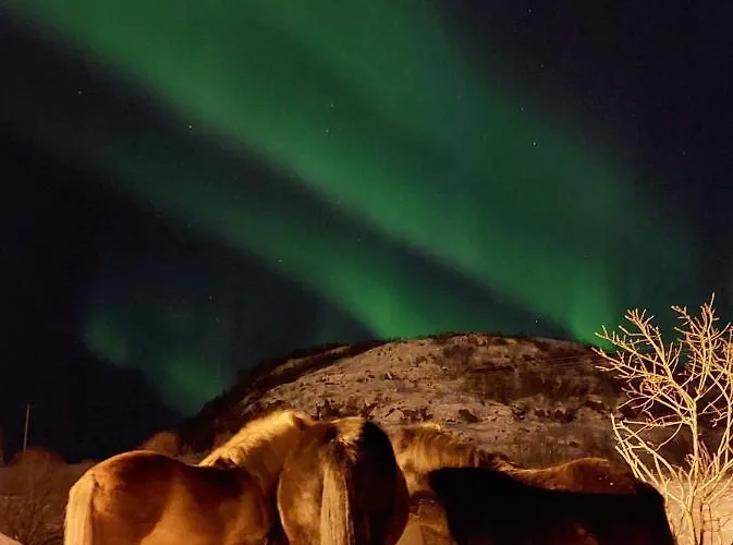 Storjord Ranchhouse *