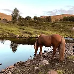 Storjord Ranchhouse Vakantieboerderij Kvaloya